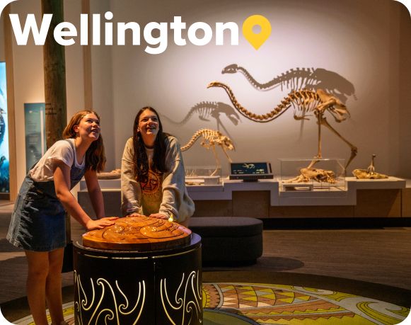 Te Papa Museum Wellington